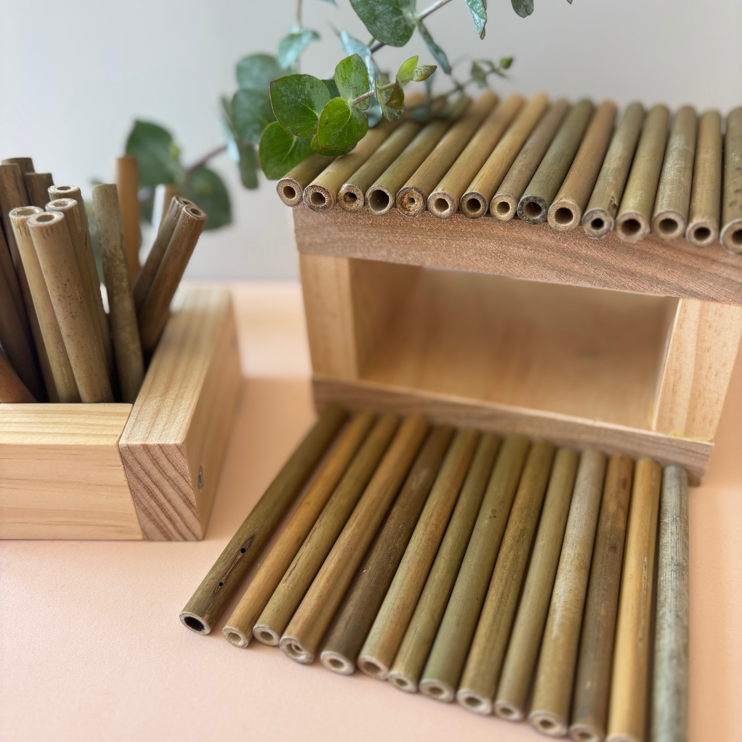 Bamboo Sticks