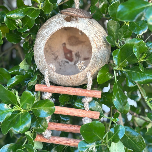 Hanging Fairy House | Whimsical Shelter for Small World Play