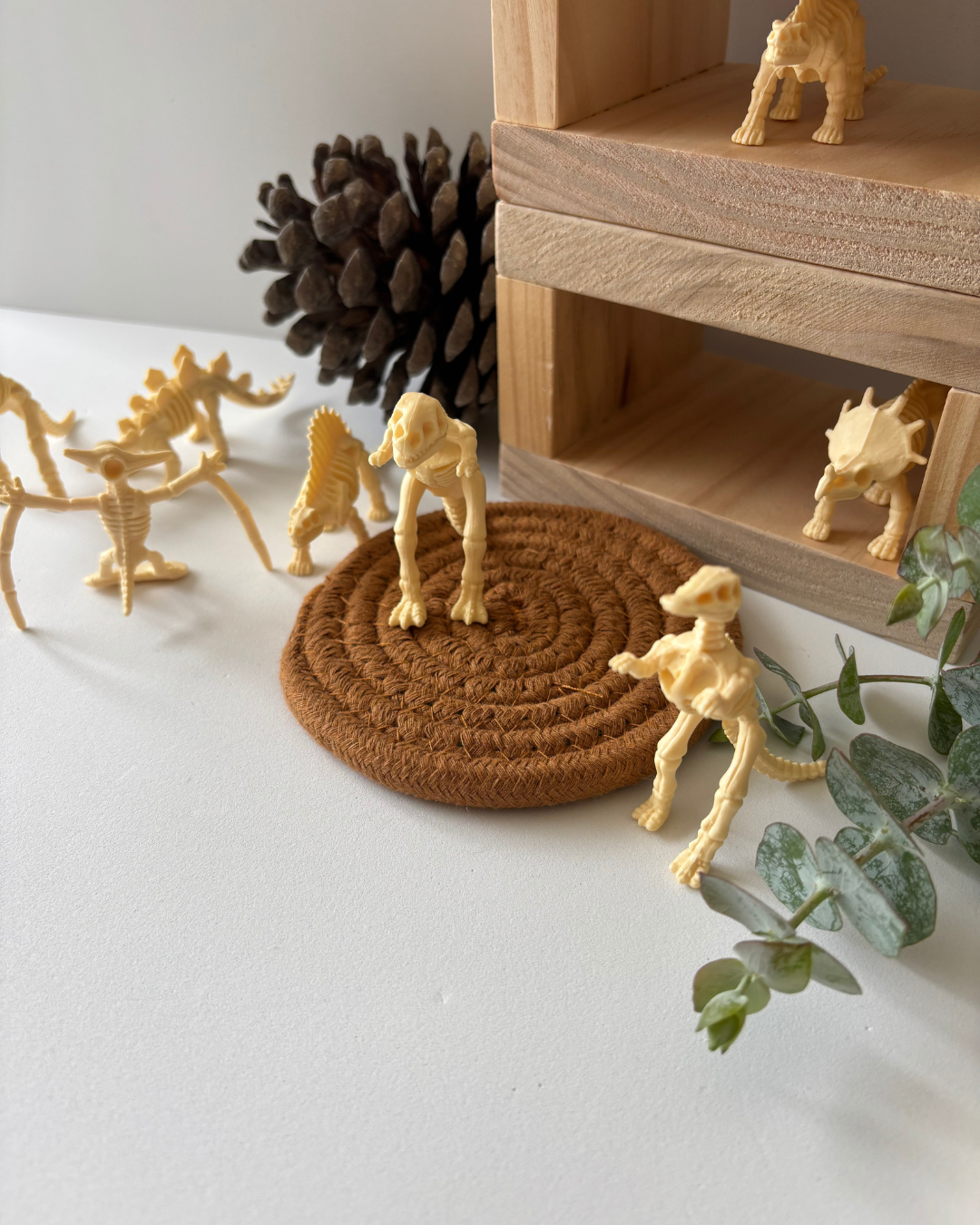 Dinosaur Fossils Set | Sensory Play Resource | Supports Exploration, Storytelling & Fine Motor Skills | Ages 3+