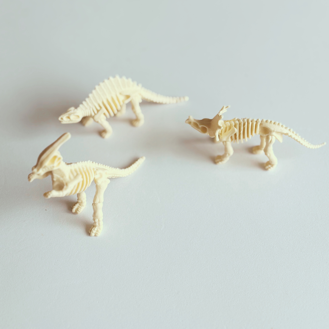 Dinosaur Fossils Set | Sensory Play Resource | Supports Exploration, Storytelling & Fine Motor Skills | Ages 3+