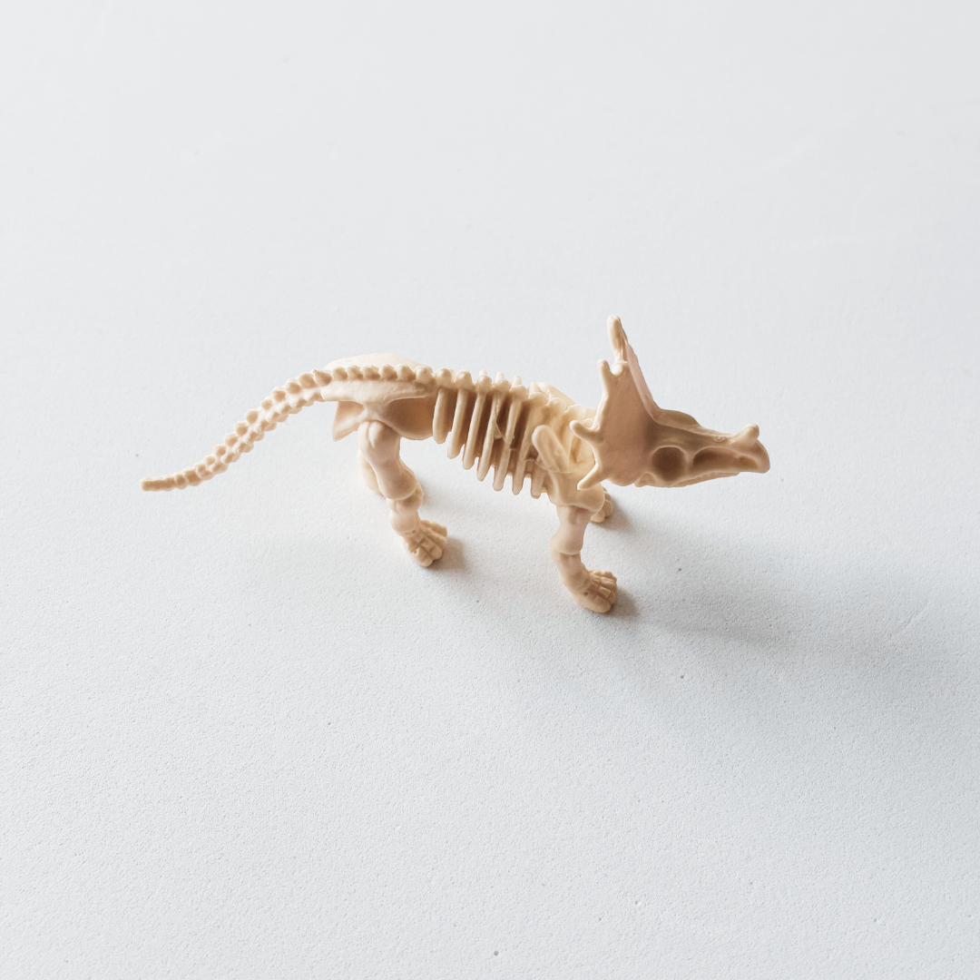 Dinosaur Fossils Set | Sensory Play Resource | Supports Exploration, Storytelling & Fine Motor Skills | Ages 3+